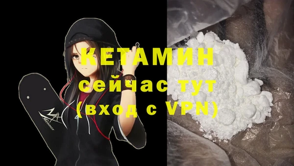 стаф Каменка