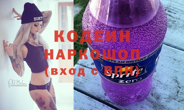 шишки Карпинск