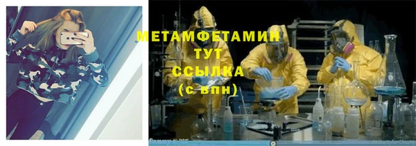 шишки Карпинск