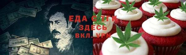 стаф Каменка