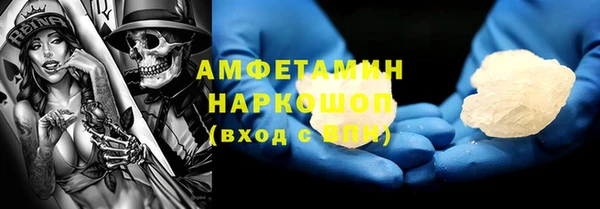 шишки Карпинск