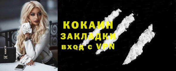 ГАЛЛЮЦИНОГЕННЫЕ ГРИБЫ Касимов
