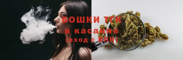 стаф Каменка