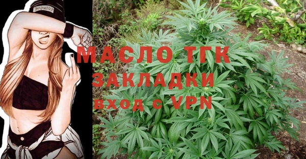 стаф Каменка