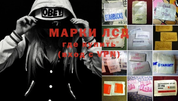 шишки Карпинск