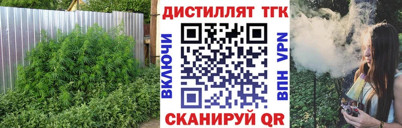 ТГК THC oil  Купить закладки  Кыштым 