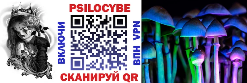Псилоцибиновые грибы Cubensis  Купить где  Кыштым 